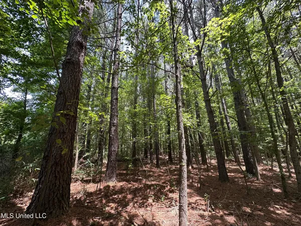 $110,000 | 4 County Road 444, Philadelphia, MS 39350