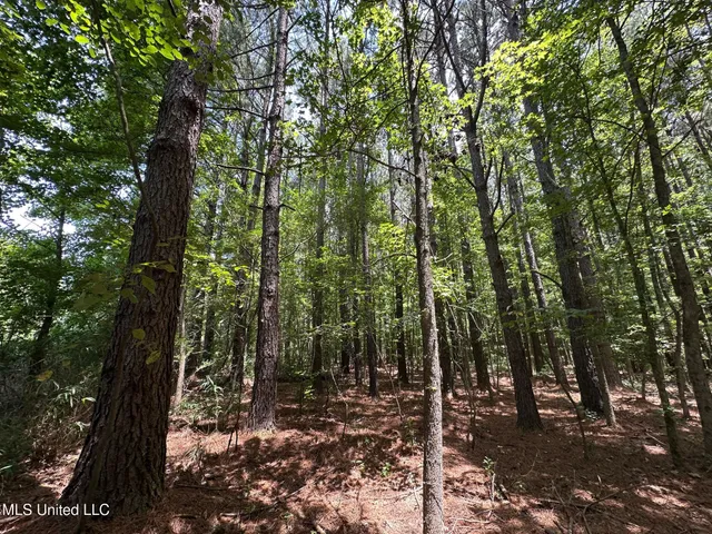 $110,000 | 4 County Road 444, Philadelphia, MS 39350