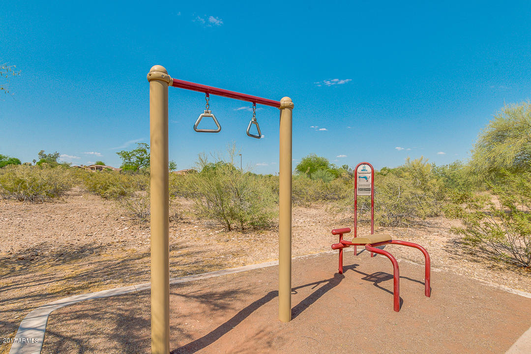 1834 East Redfield Road Phoenix, AZ 85022 - Photo 41 of 51 Workout Station 3
