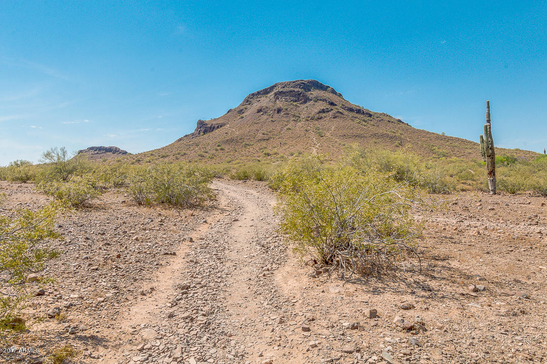 1834 East Redfield Road Phoenix, AZ 85022 - Photo 49 of 51 Lookout Mt. Trail