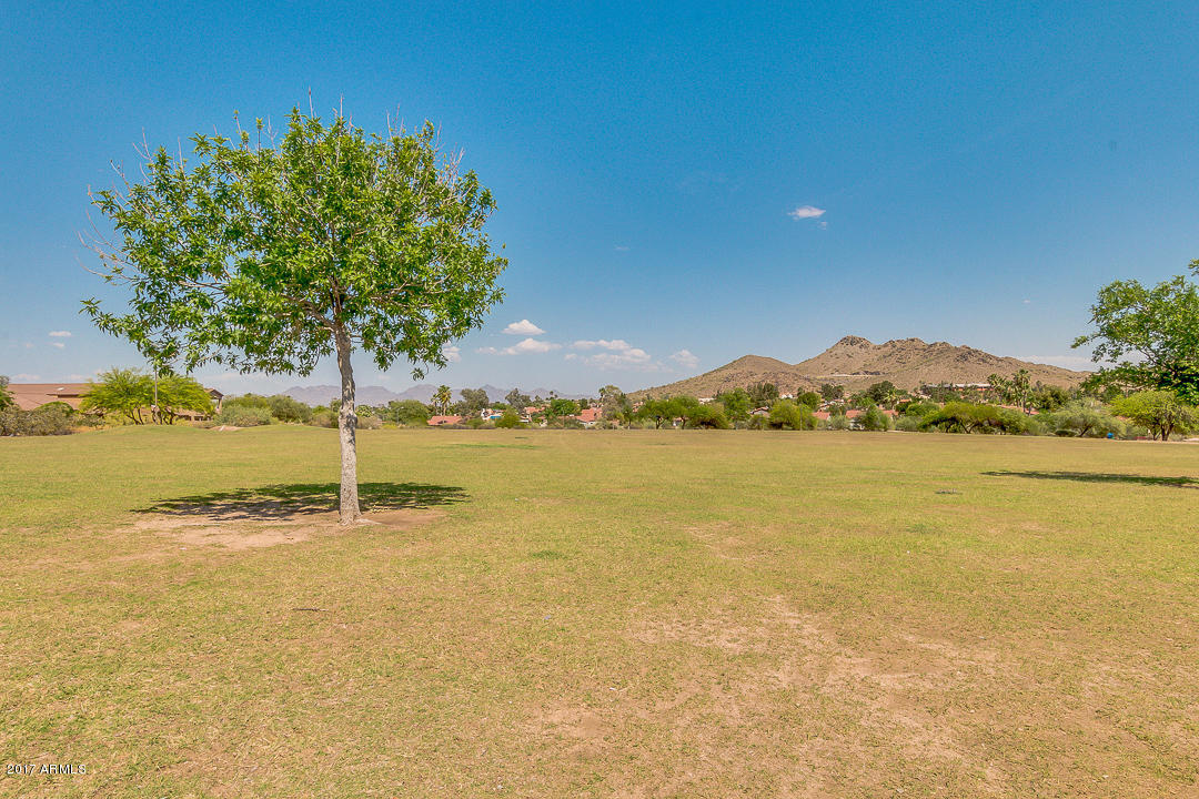 1834 East Redfield Road Phoenix, AZ 85022 - Photo 50 of 51 Lookout Mt. Park Grass