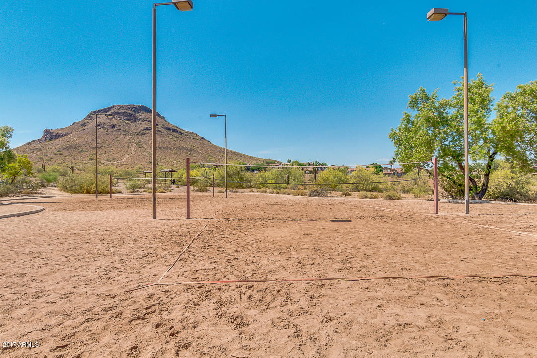 1834 East Redfield Road Phoenix, AZ 85022 - Photo 51 of 51 Lookout Mt. Park Volleyball
