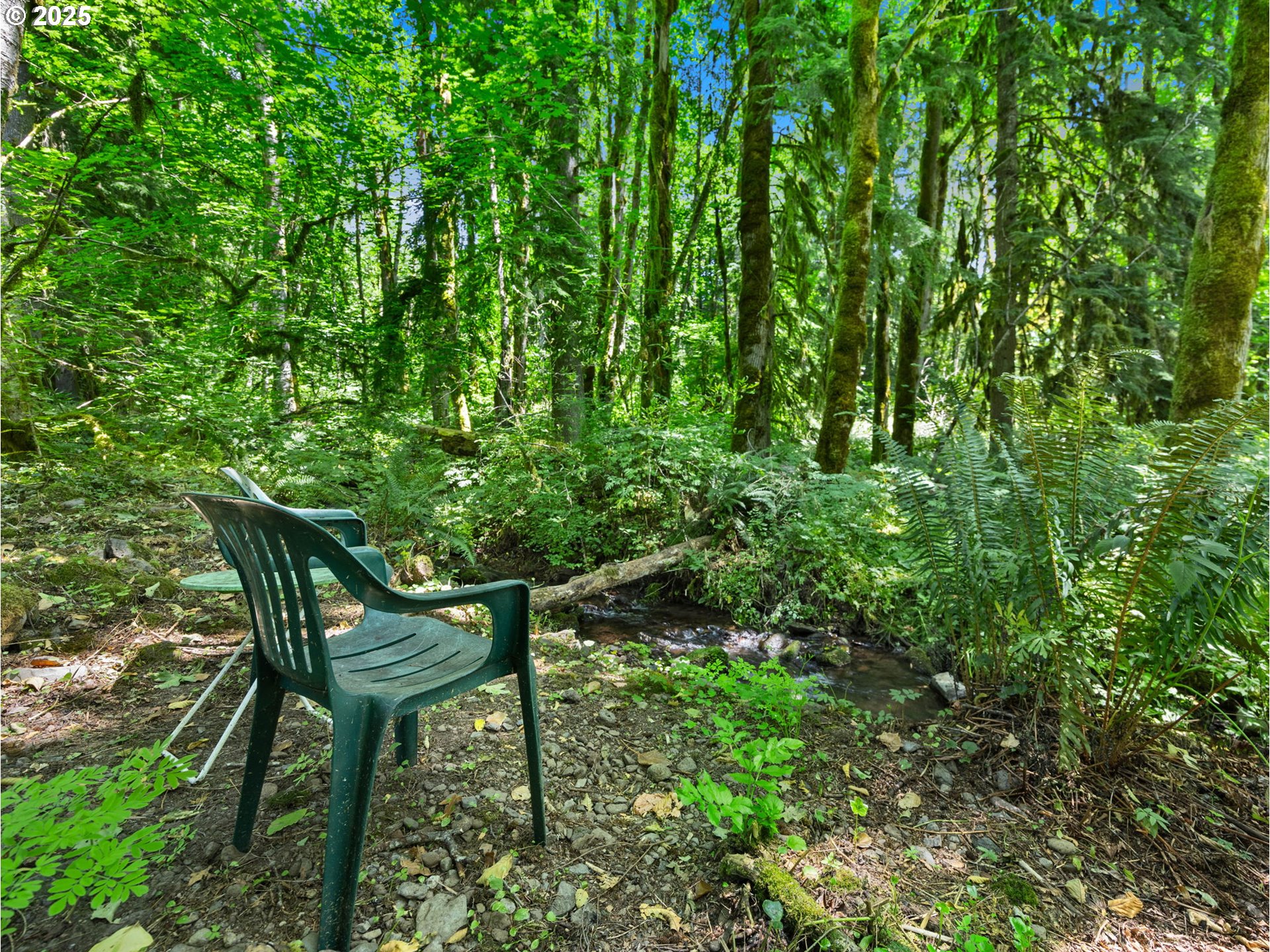66655 East Barlow Trail Road Rhododendron, OR 97049 - Photo 34 of 45 Gallery Image 34