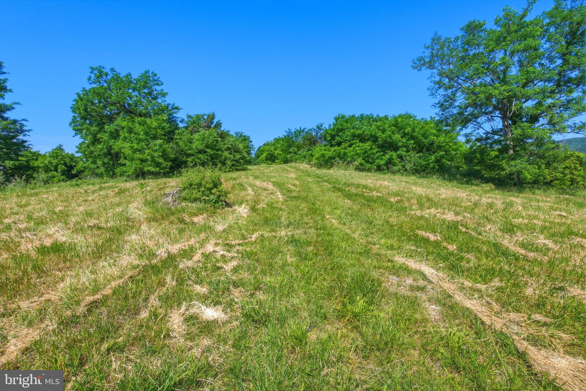 1639 Sugar Hill Road Maurertown, VA 22644 - Photo 13 of 62