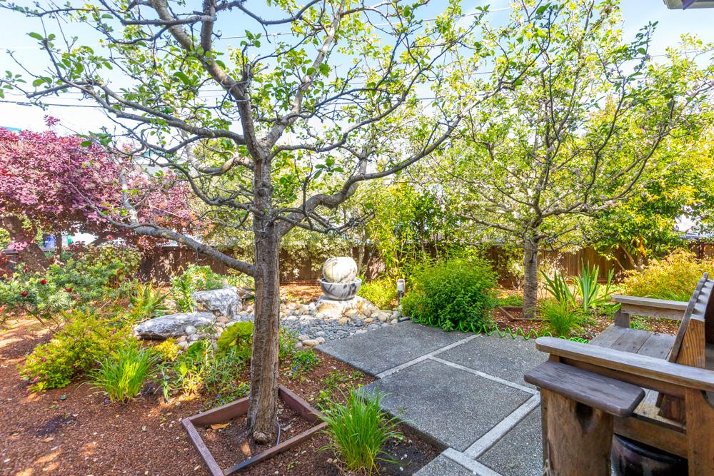 209 Fanmar Way Capitola, CA 95010 - Photo 25 of 31 a view of yard with patio and yard