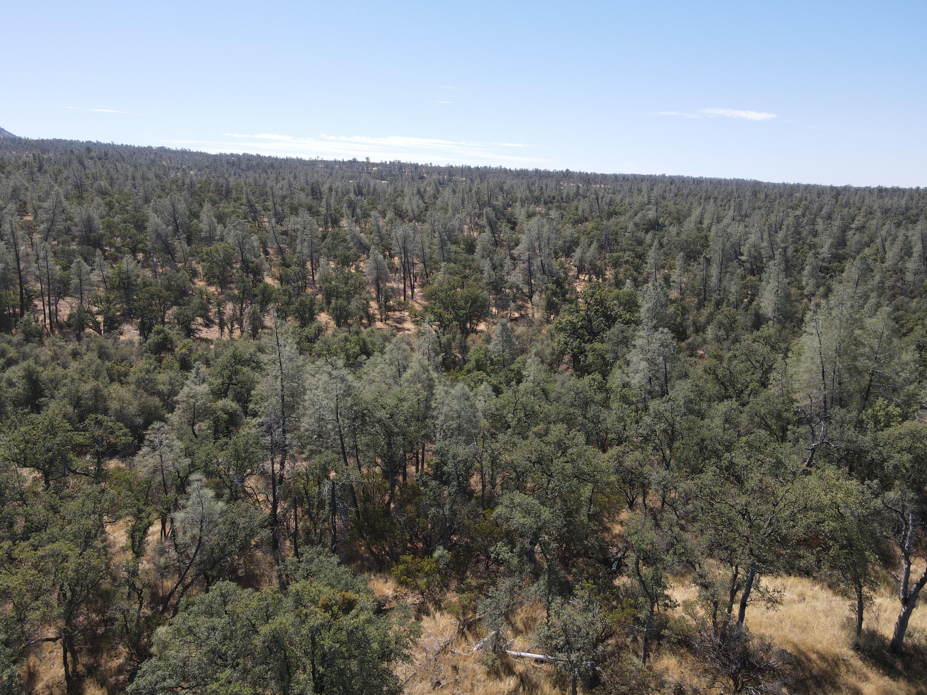 Nsa Dersch Road Shingletown, CA 96088 - Photo 41 of 56 DJI_0643