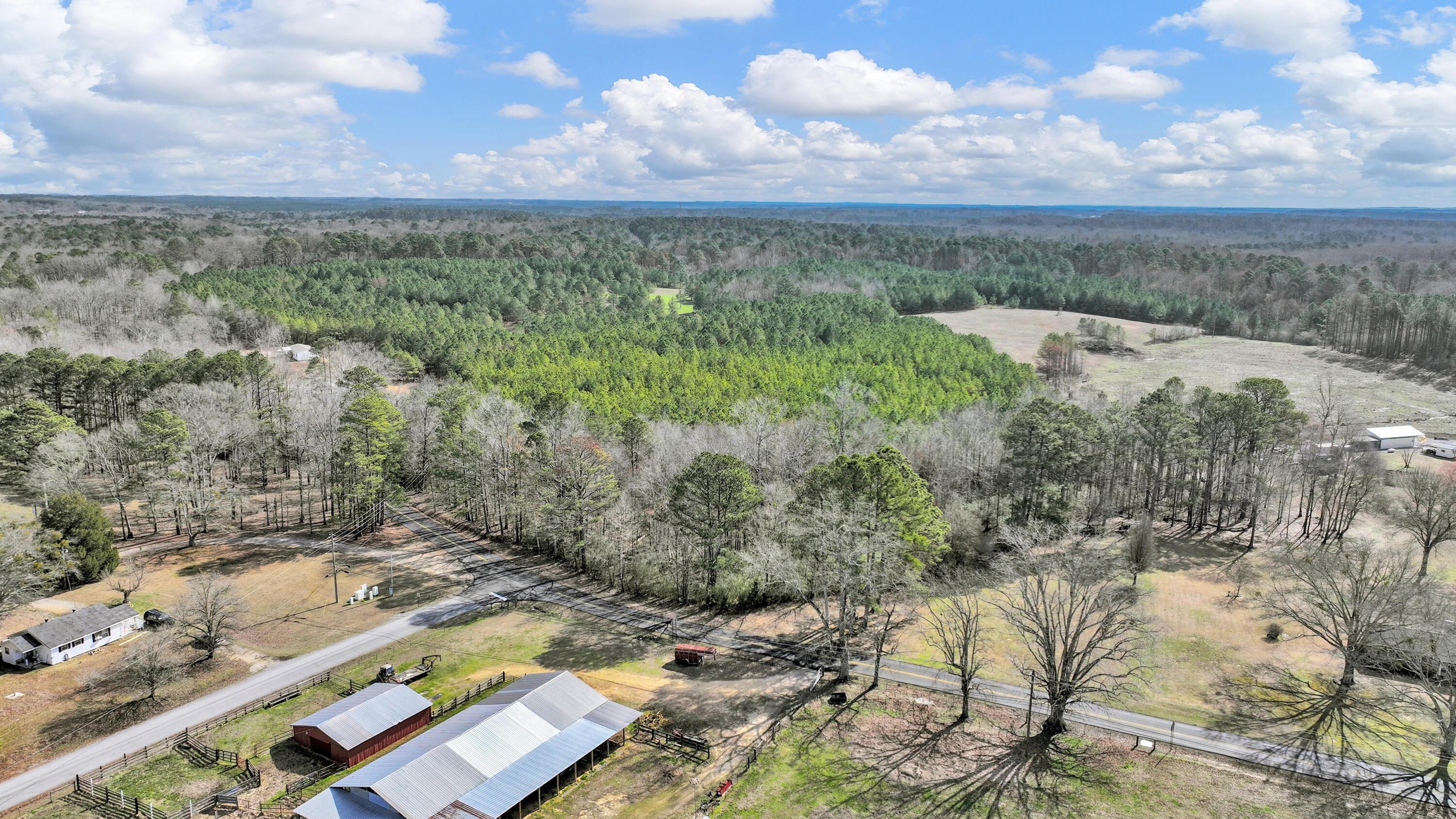 Lot 2 Duncan Road Nauvoo, AL 35578 - Photo 16 of 28 Gallery Image 16