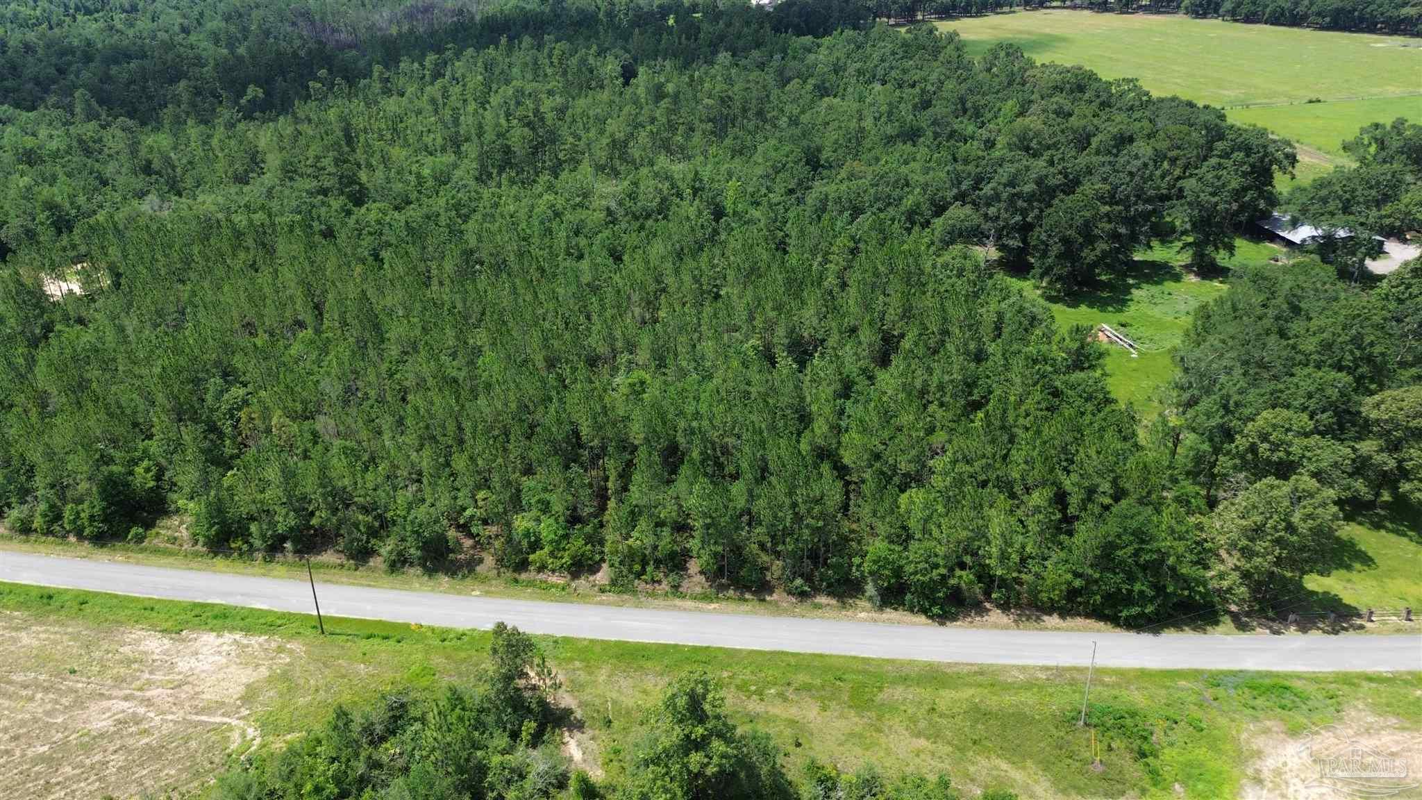 Lot 23 Sid Hayes Road Jay, FL 32565 - Photo 1 of 4 Gallery Image 1