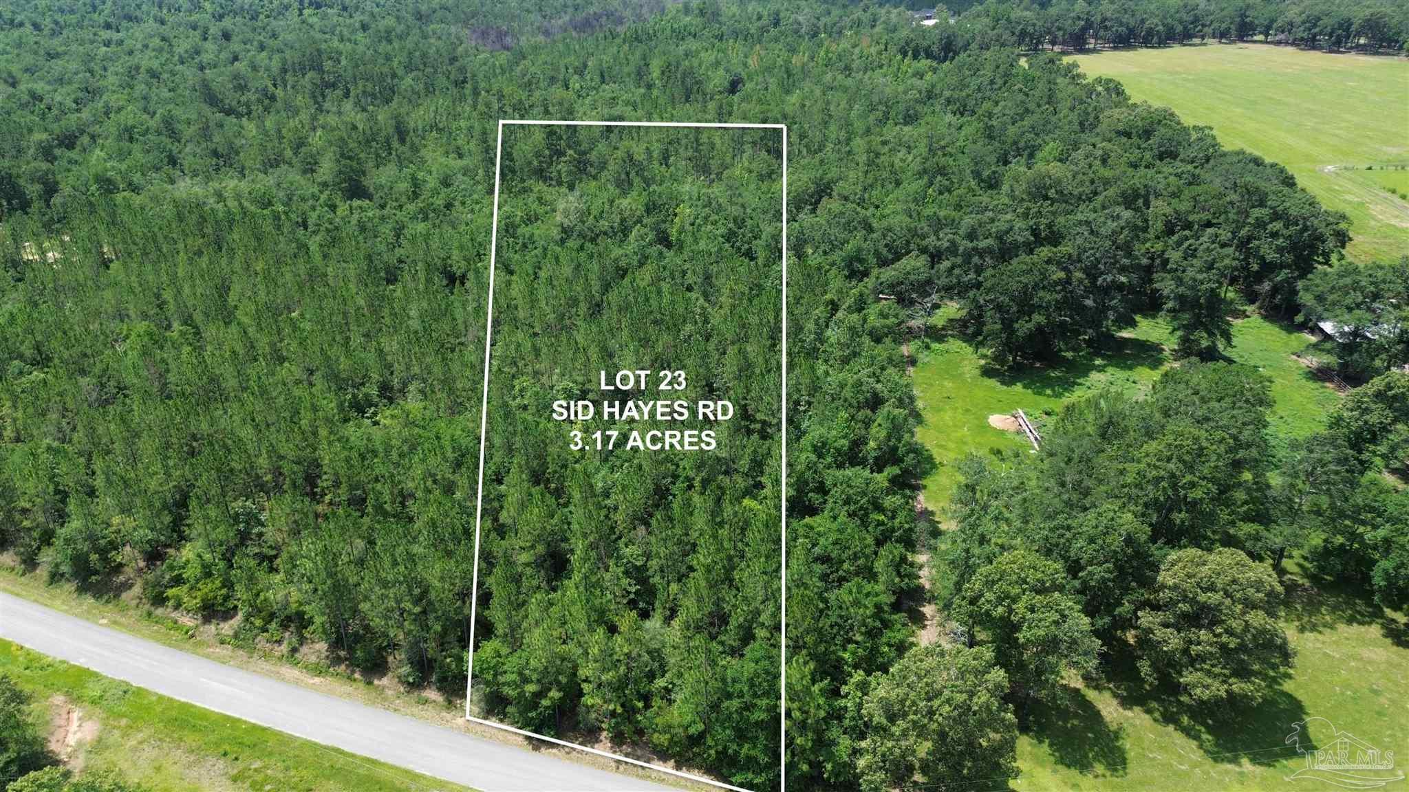 Lot 23 Sid Hayes Road Jay, FL 32565 - Photo 3 of 4 Gallery Image 3