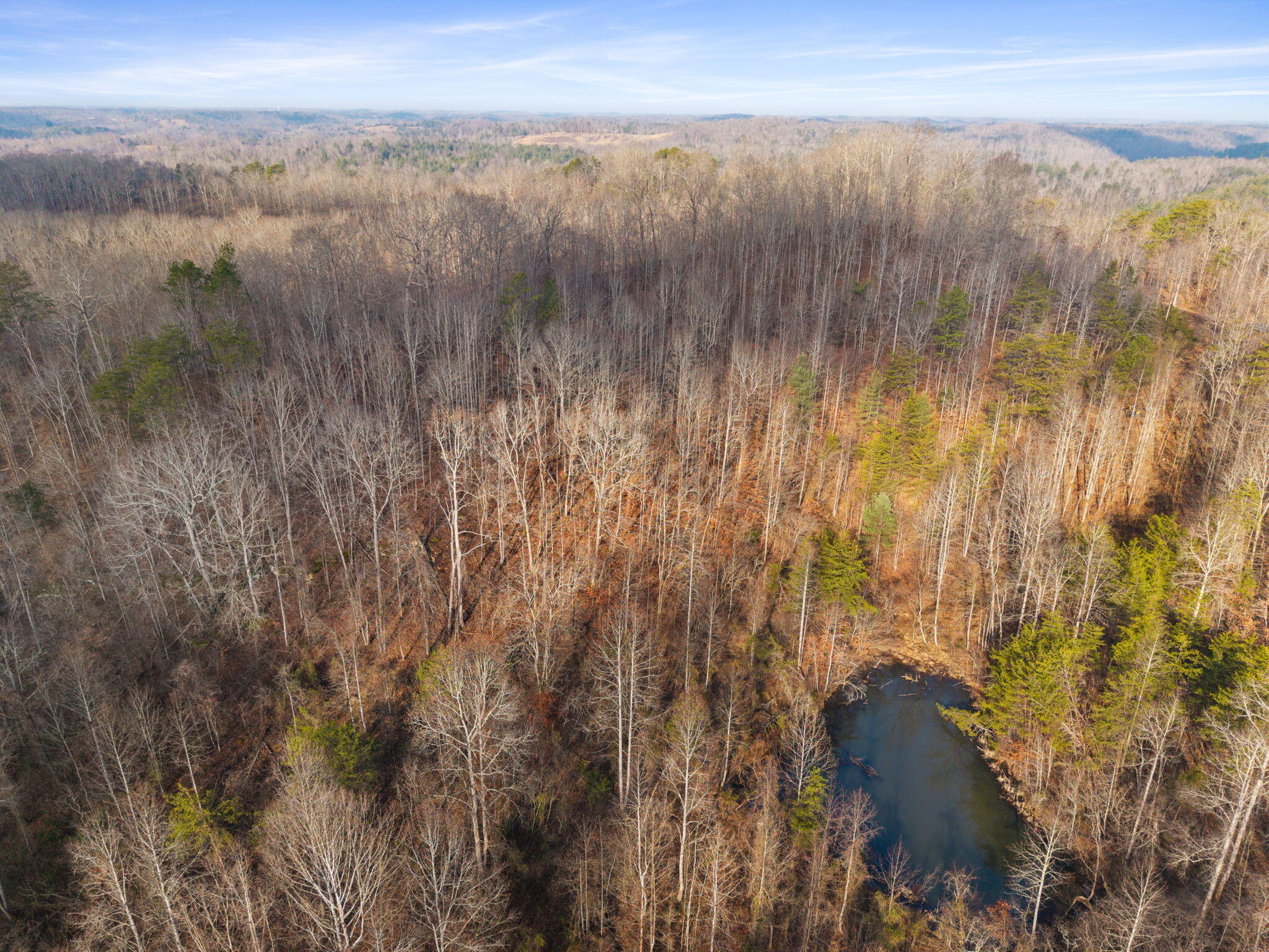0 Marshall Road Beattyville, KY 41311 - Photo 19 of 32 14-web-or-mls-DJI_20260107103349_0067_D