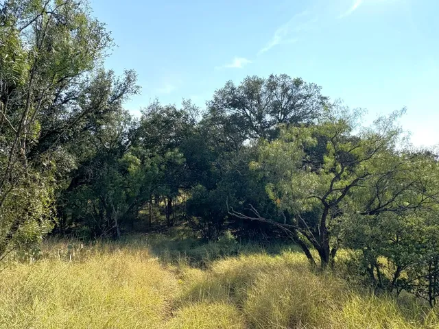 a view of lake background