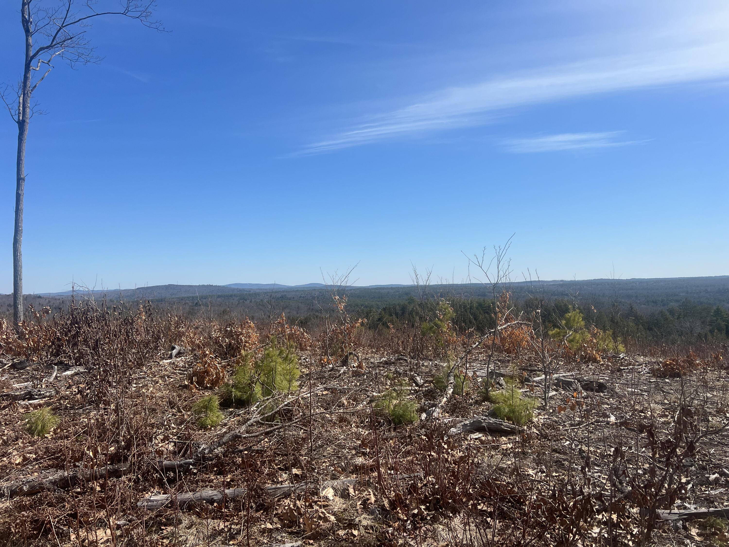 Tbd Deer Hill Road Harrison, ME 04040 - Photo 5 of 14 IMG_0306