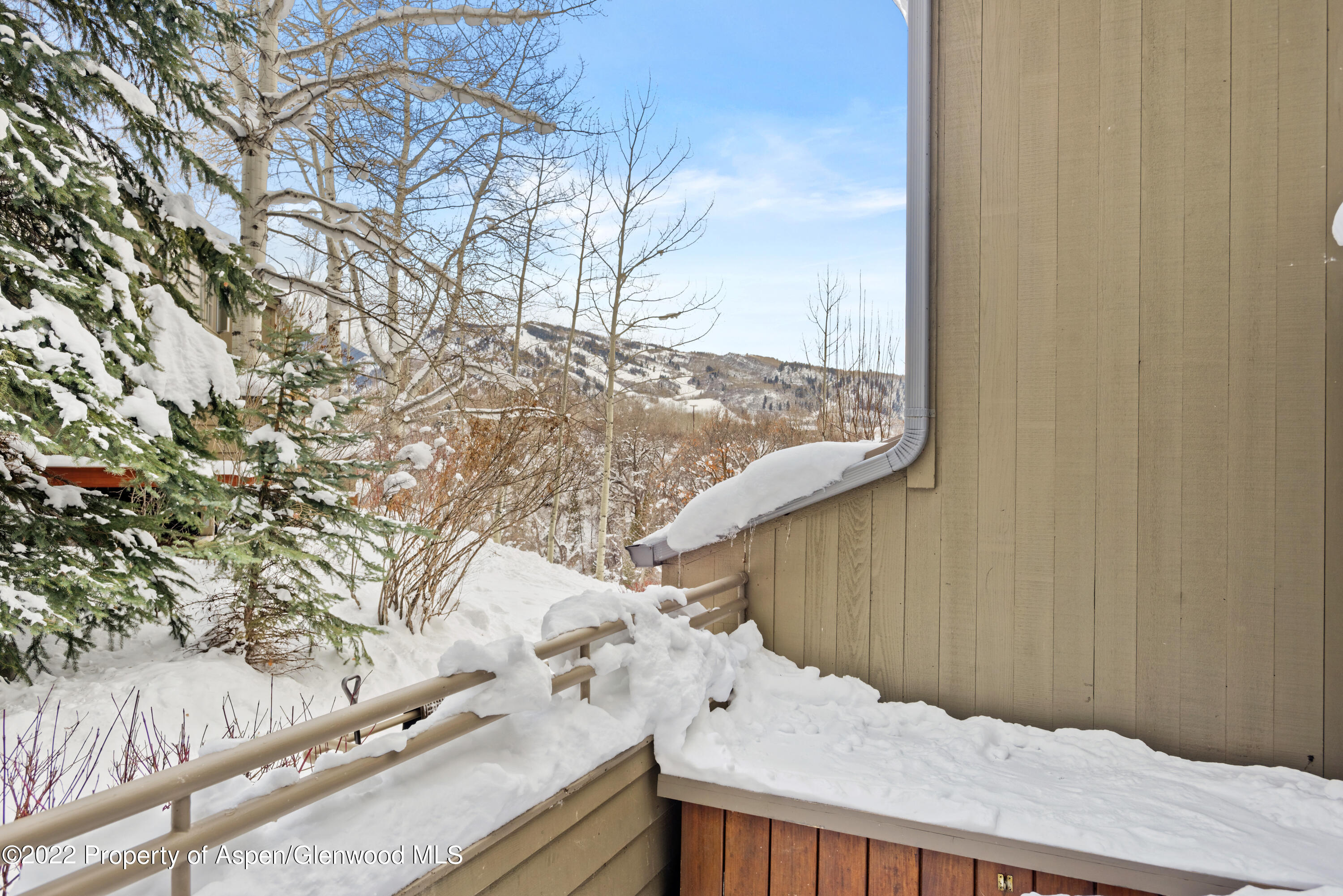 100 North 8th Street, Unit 20 Aspen, CO 81611 - Photo 18 of 18 a view of balcony with wooden fence