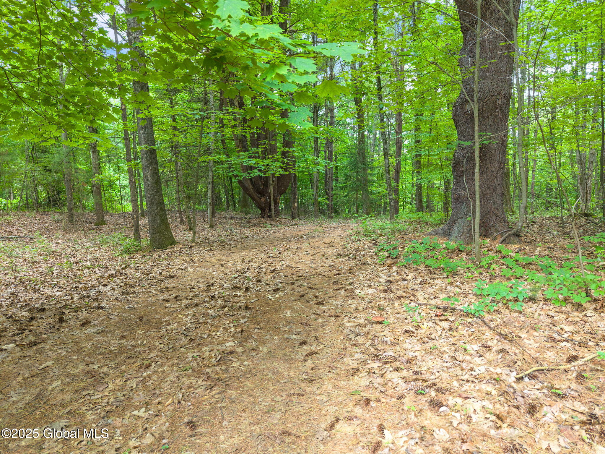 25 Longkill Road Ballston Lake, NY 12019 - Photo 74 of 77 74