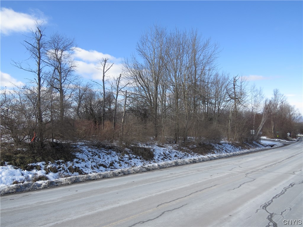 0 Albany Road Frankfort, NY 13340 - Photo 1 of 1 Gallery Image 1