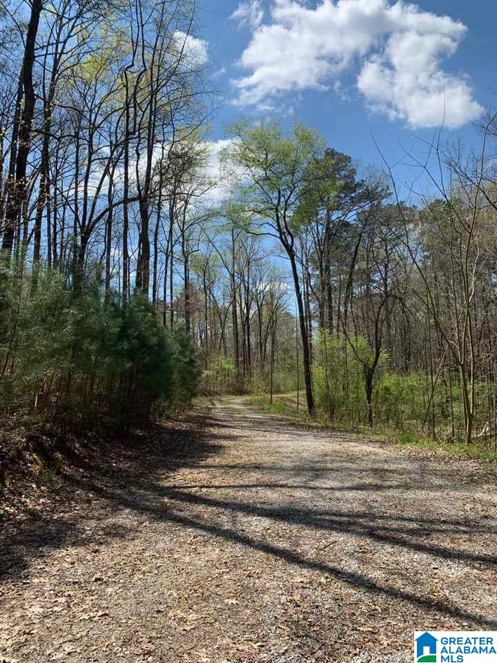 5925 Cahaba Valley Road, Unit 1 Birmingham, AL 35242 - Photo 19 of 21