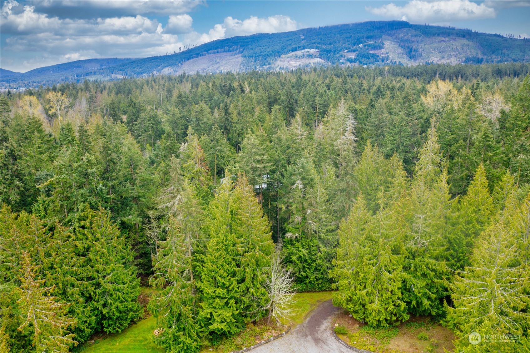 715 Palo Alto Road Sequim, WA 98382 - Photo 40 of 40 a view of a forest with a street
