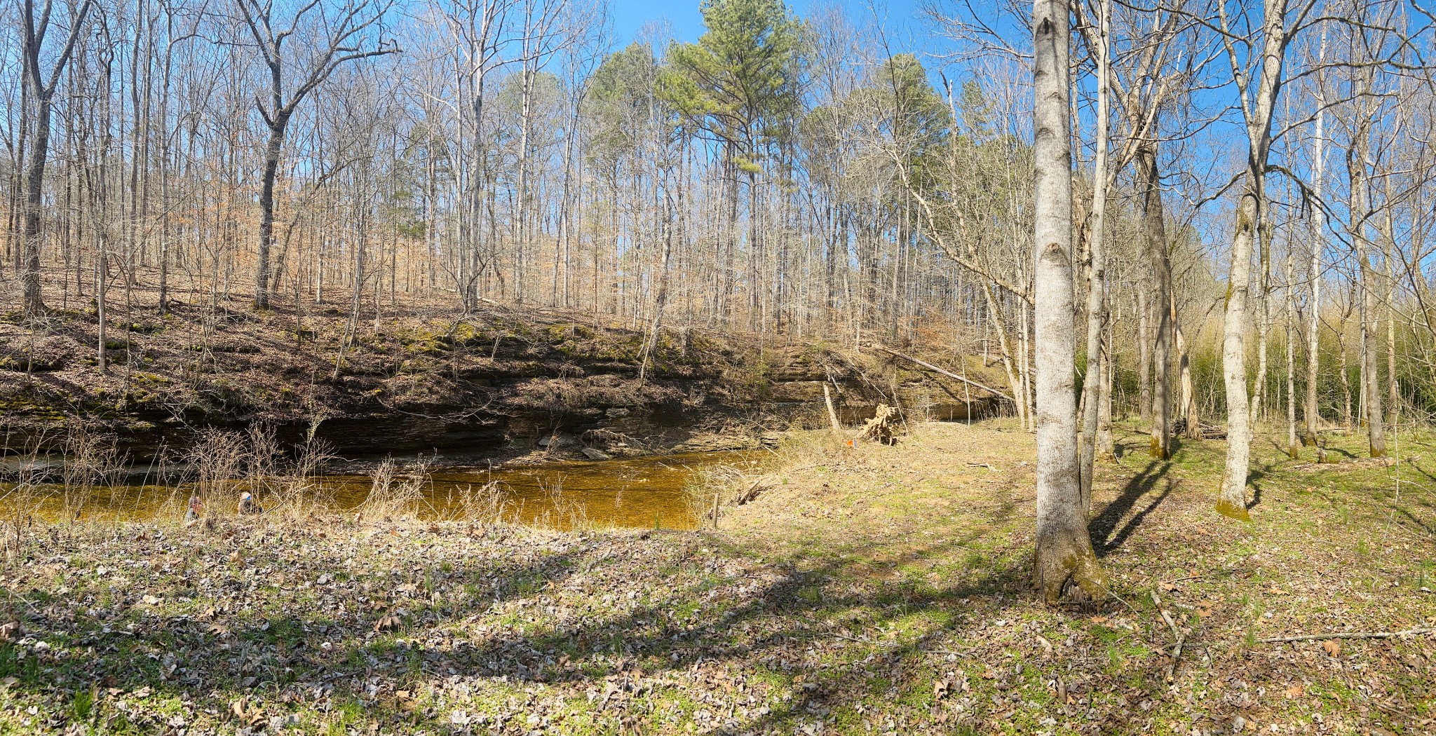 7375 Sac Lampley Road Bon Aqua, TN 37025 - Photo 29 of 29 a view of swimming pool with a yard