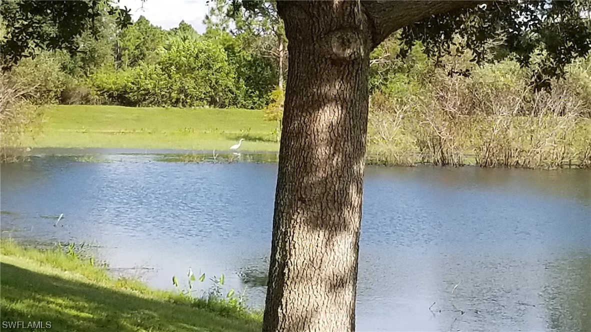 954126511 Trolley Rd Port North Port, FL 34291 - Photo 34 of 43 a view of a lake with a yard