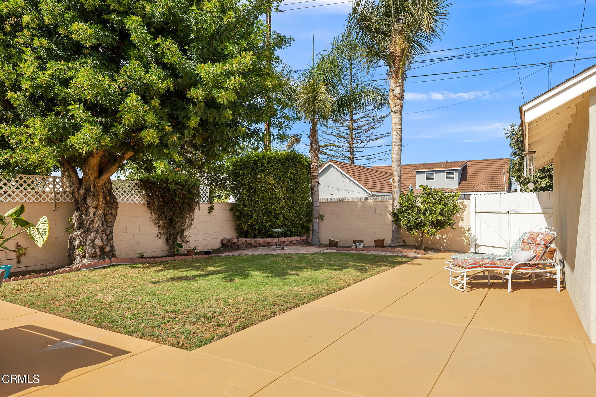 1201 West Roderick Avenue Oxnard, CA 93030 - Photo 29 of 32 a view of a backyard with a large tree