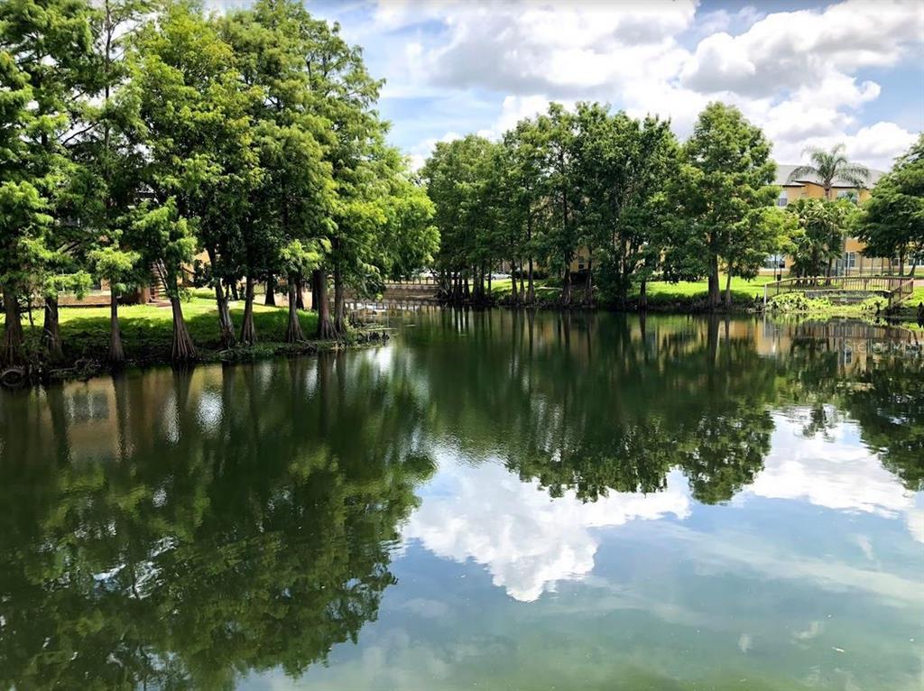 4606 Commander Drive, Unit 1124 Orlando, FL 32822 - Photo 15 of 16 a lake view