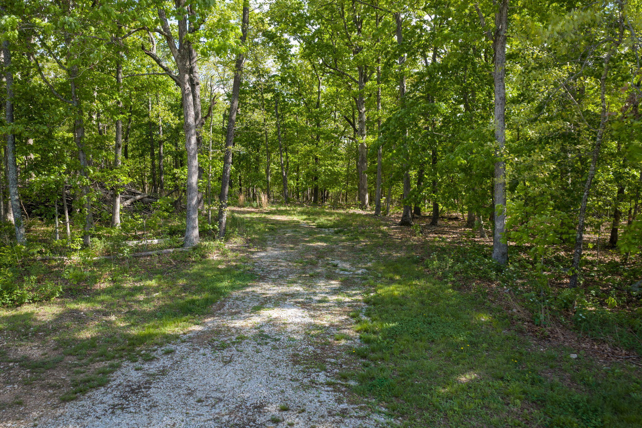 0 East 325th Road Flemington, MO 65650 - Photo 17 of 27 Flemington