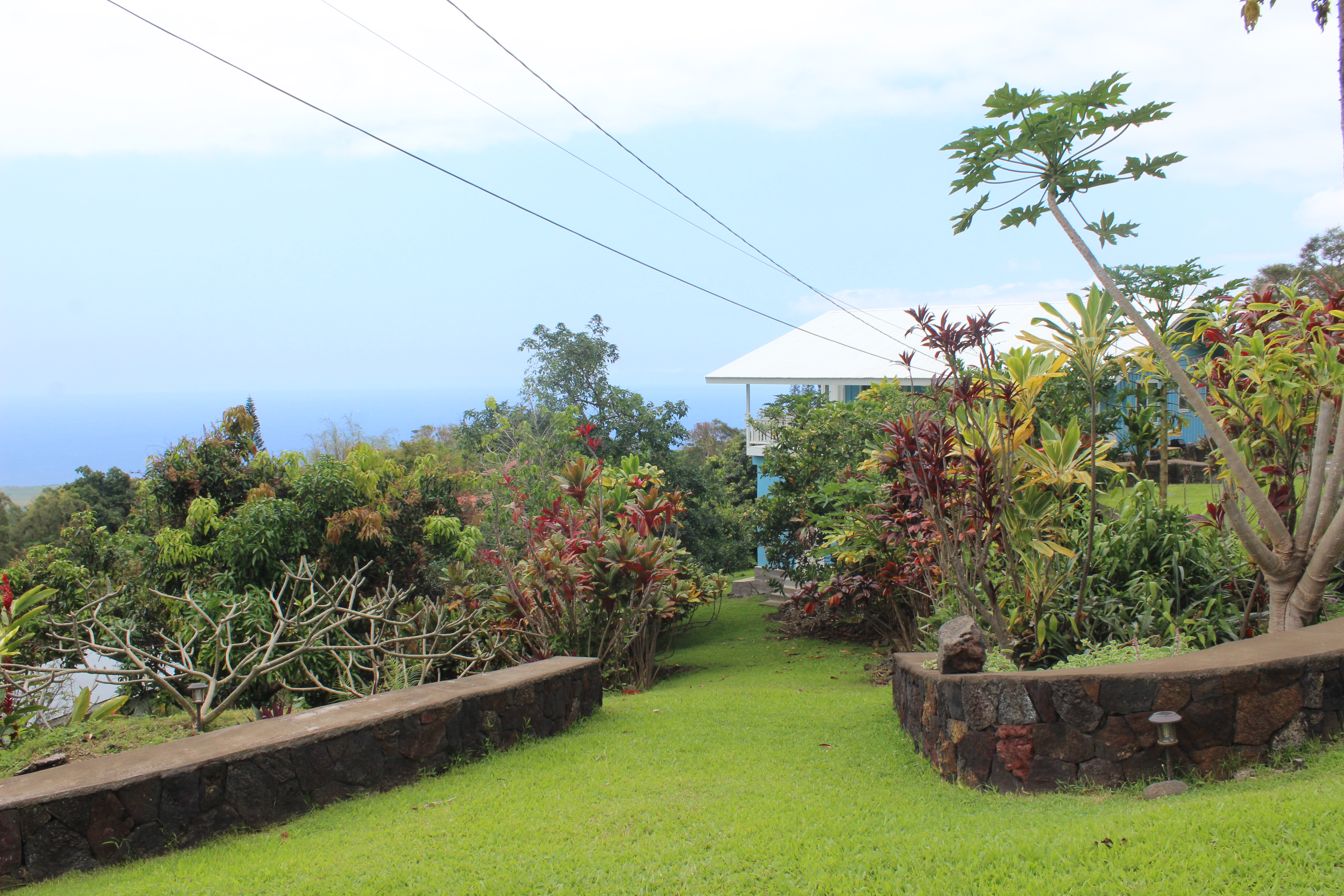 83-5477 Hawaiʻi Belt Road Captain Cook, HI 96704 - Photo 15 of 30 a view of a garden with plants