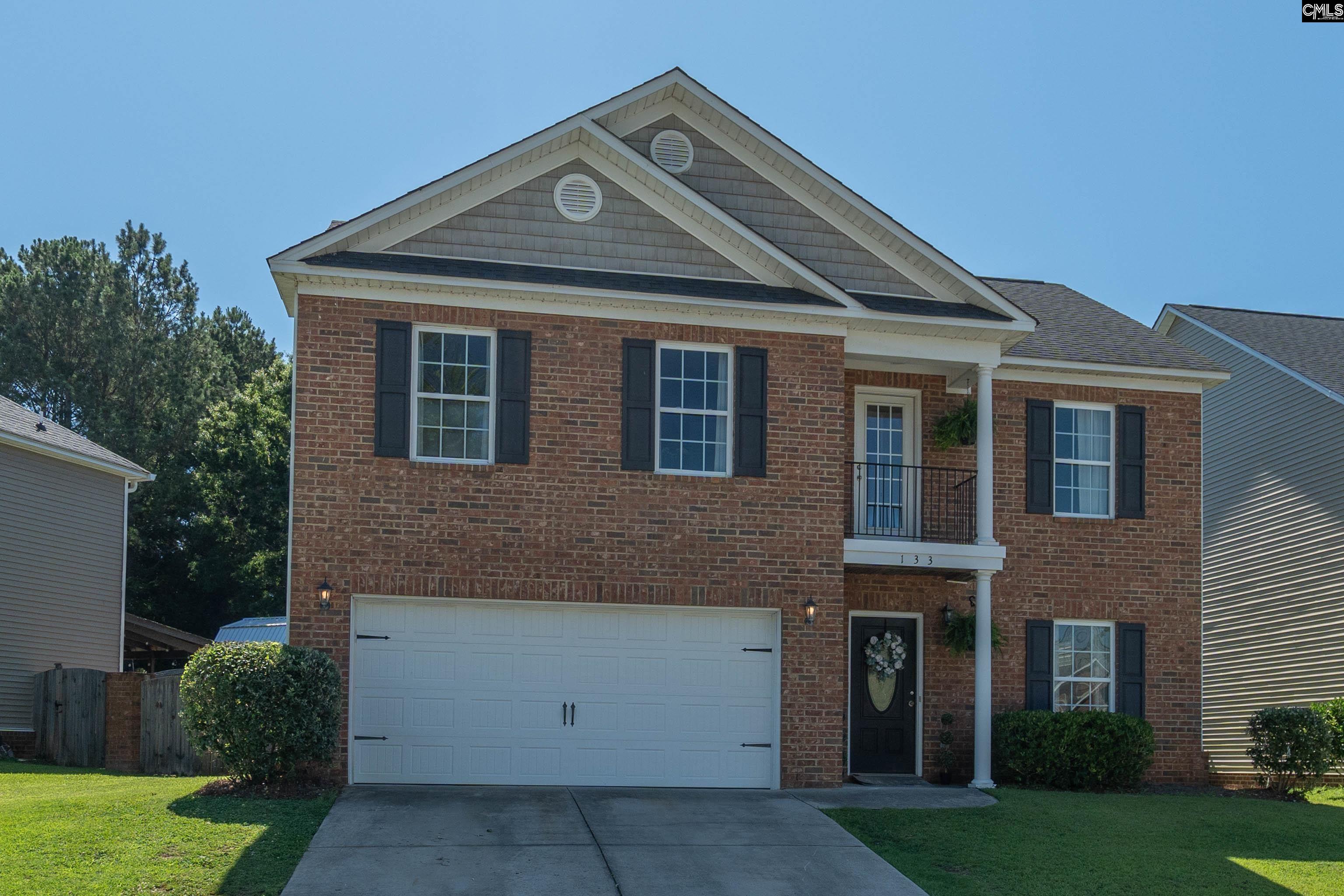 133 Palm Street Chapin, SC 29036 - Photo 3 of 37