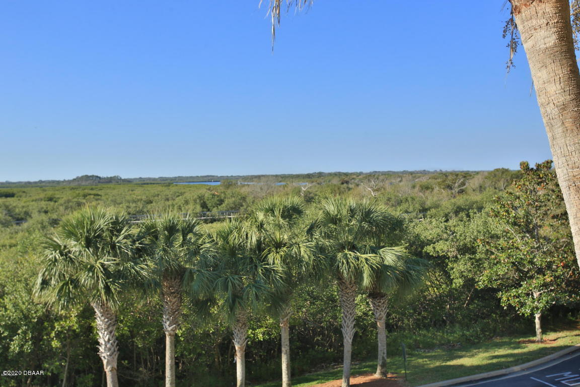 4624 Harbour Village Boulevard, Unit 4306 Ponce Inlet, FL 32127 - Photo 15 of 16 20170322185505111241000000-o