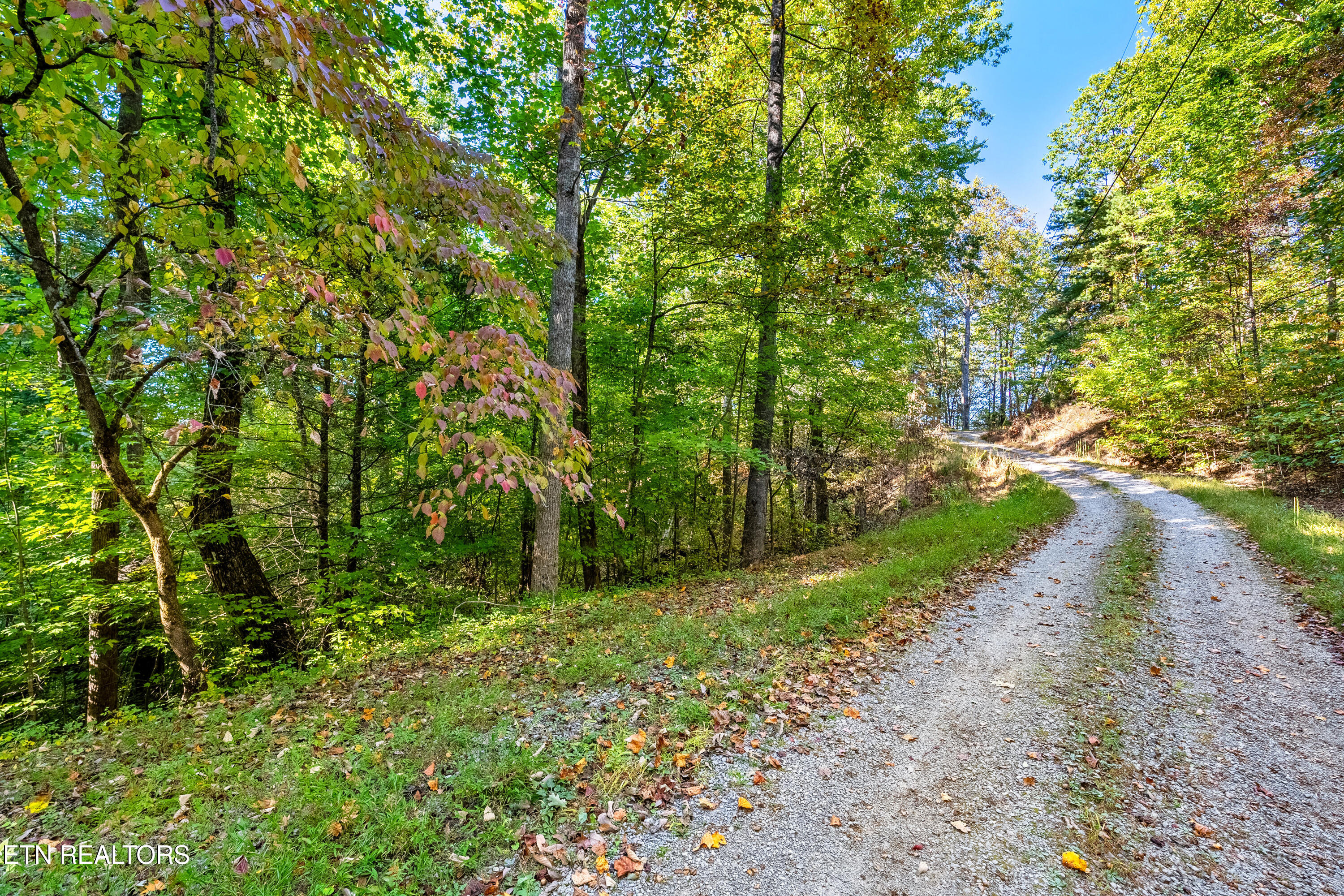 Lot 4 Deer Ridge Lane Sevierville, TN 37876 - Photo 3 of 17 DSC03312-HDR_1