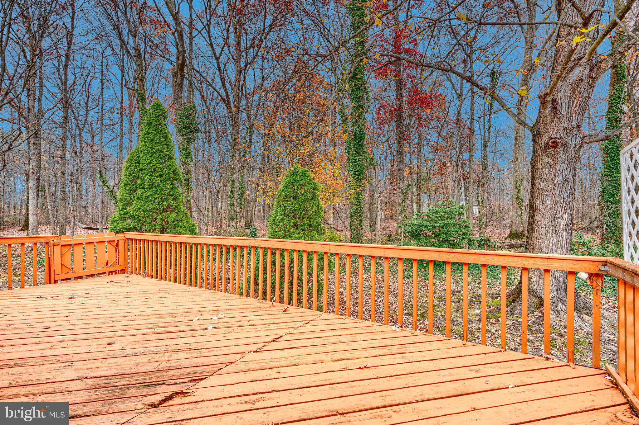 117 Rodeo Circle Middle River, MD 21220 - Photo 3 of 28 Lot backs to Wood