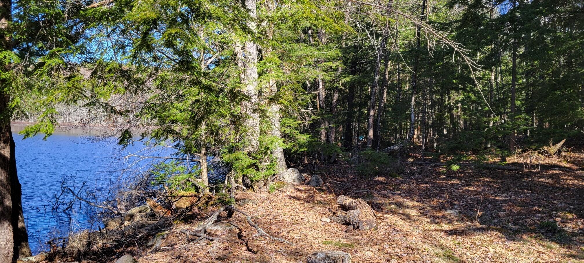 550 Blackguard Road Waterford, ME 04088 - Photo 23 of 29 20240422_093133_resized