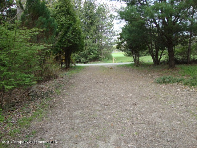 1270 State Rte 3011 Meshoppen, PA 18630 - Photo 20 of 20 a view of outdoor space with trees