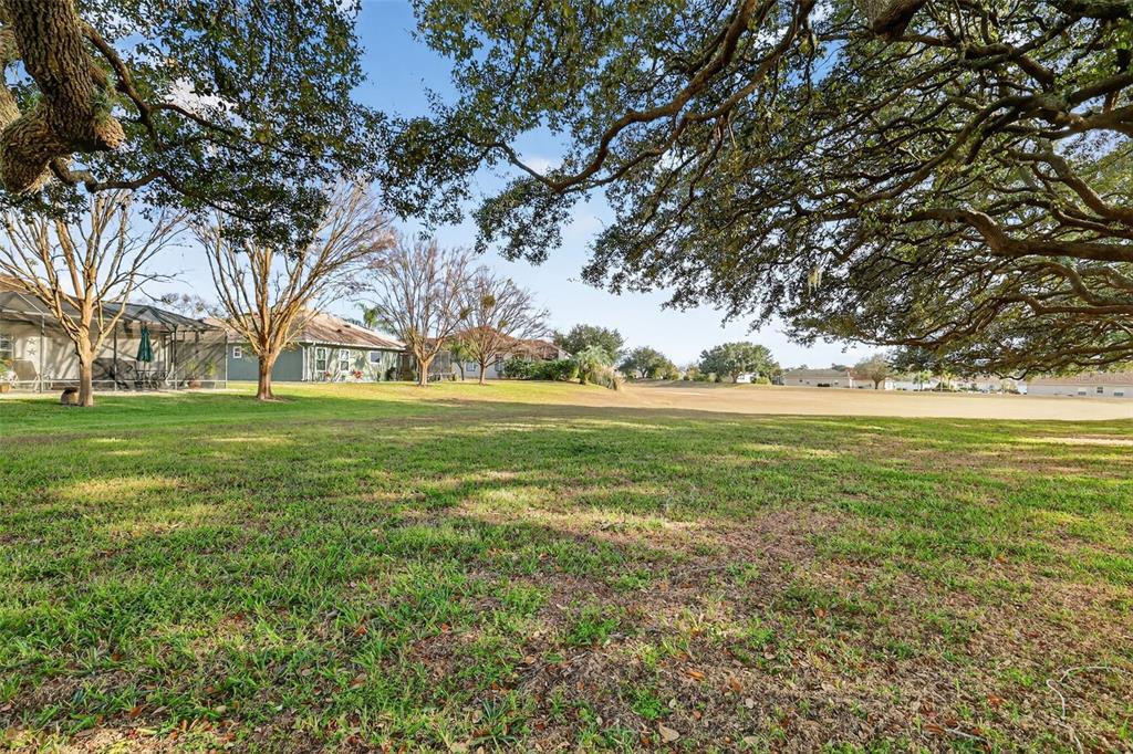 17532 Southeast 119th Circle Summerfield, FL 34491 - Photo 28 of 30