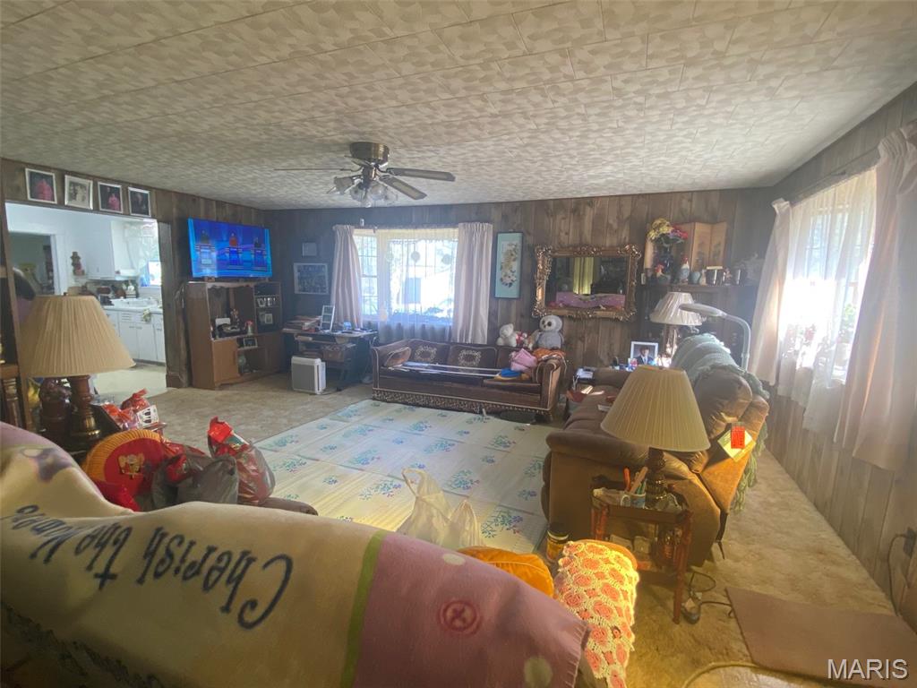 638 East Ford Avenue Witt, IL 62094 - Photo 15 of 19