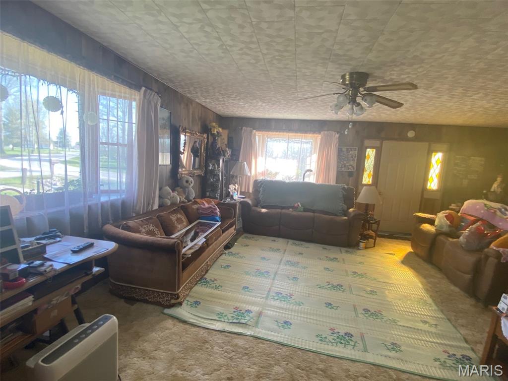 638 East Ford Avenue Witt, IL 62094 - Photo 16 of 19