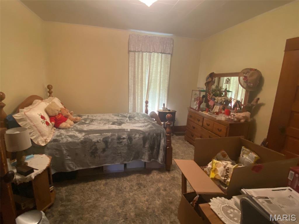 638 East Ford Avenue Witt, IL 62094 - Photo 19 of 19