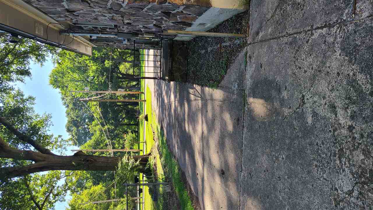 2681 Walnut Road Memphis, TN 38128 - Photo 3 of 8