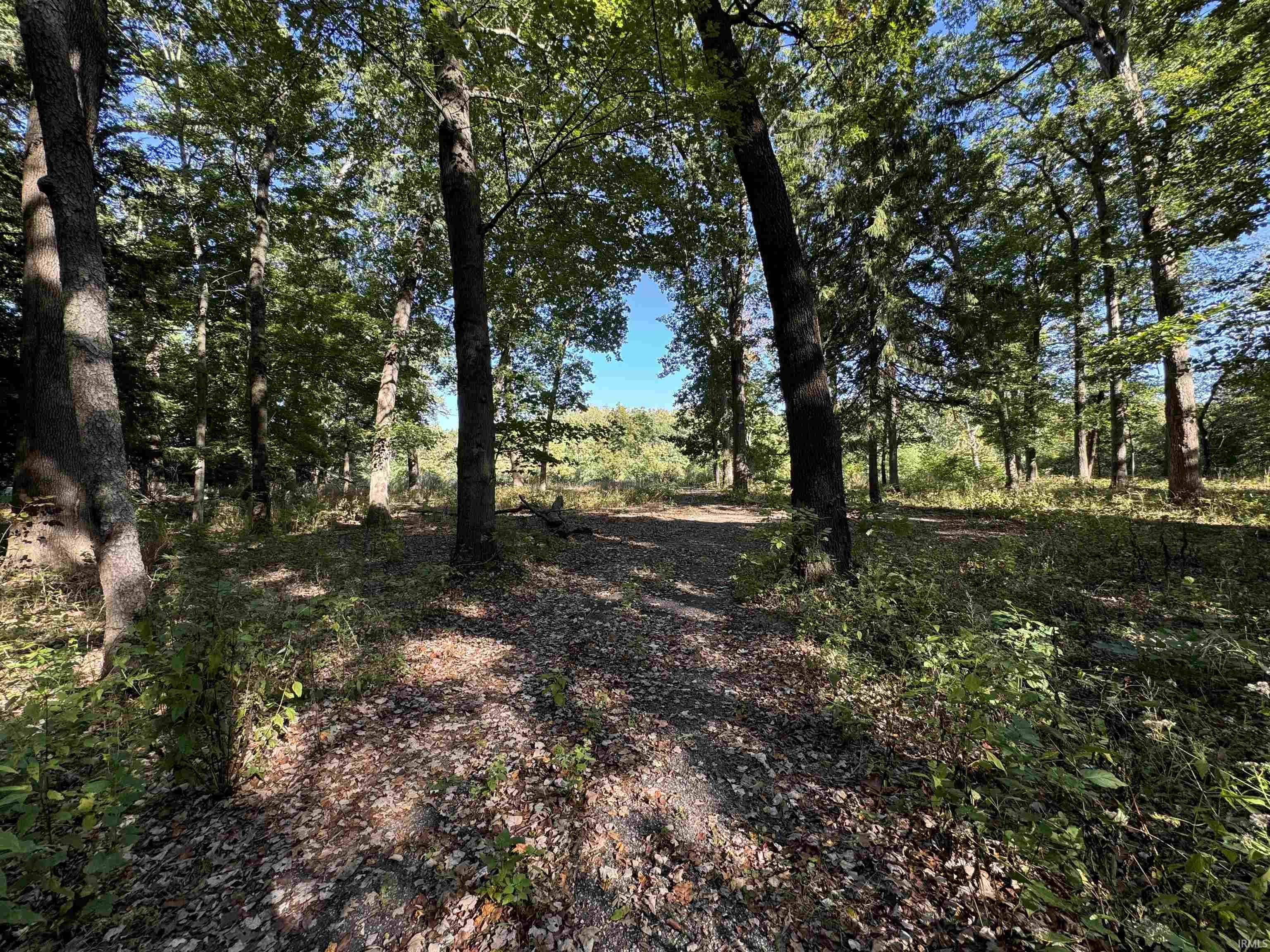 52018 Lilac Road South Bend, IN 46628 - Photo 6 of 9 Gallery Image 6