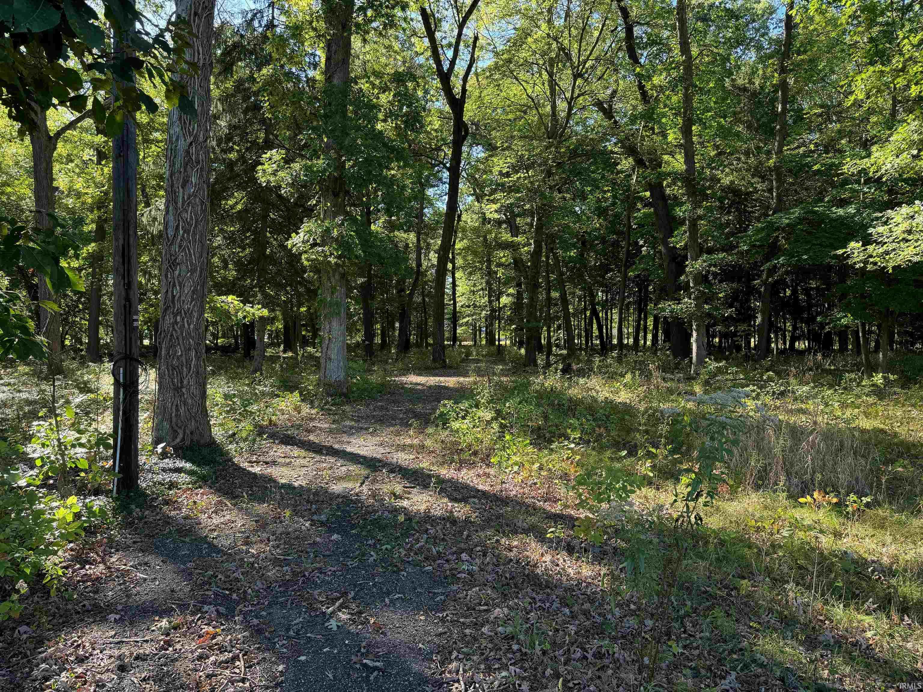 52018 Lilac Road South Bend, IN 46628 - Photo 7 of 9 Gallery Image 7