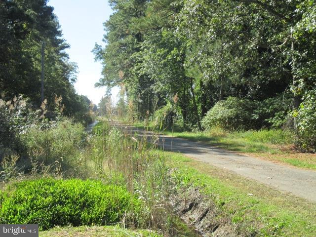 13085 Mcintyre Road Princess Anne, MD 21853 - Photo 15 of 15