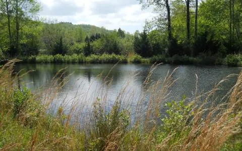 $79,900 | 25 Tusquittee Crossing, Hayesville, NC 28904