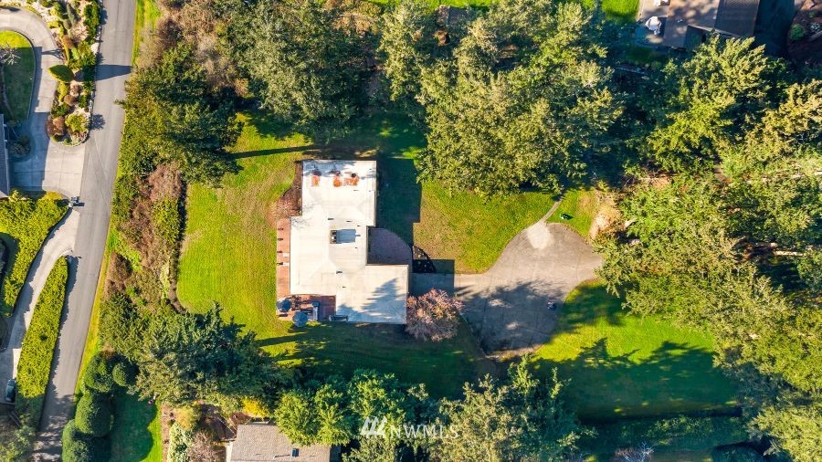 424 Fieldston Road Bellingham, WA 98225 - Photo 38 of 39 a view of a yard with plants and large trees