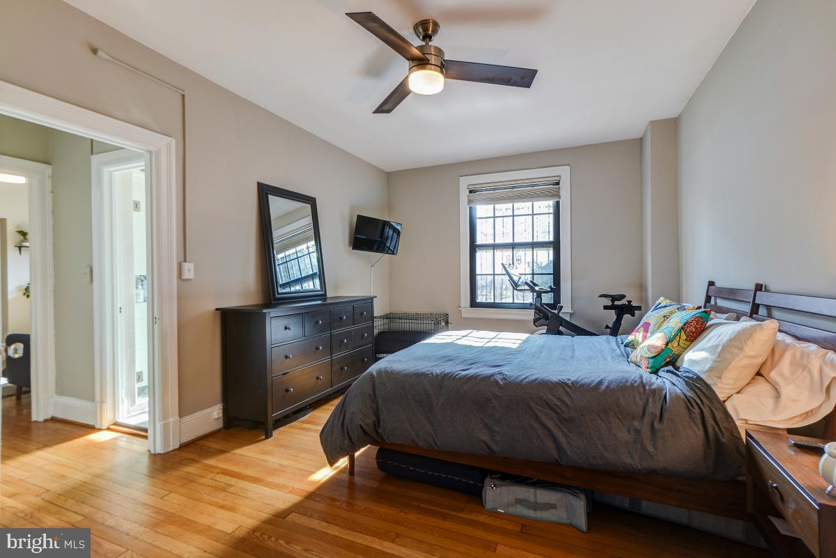 1101 L Street Northwest, Unit 102 Washington, DC 20005 - Photo 25 of 38 South-facing window overlooking the garden