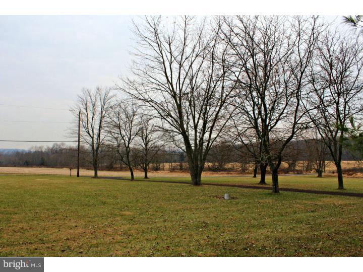 63 Schott Road Perkasie, PA 18944 - Photo 7 of 25 Front Yard