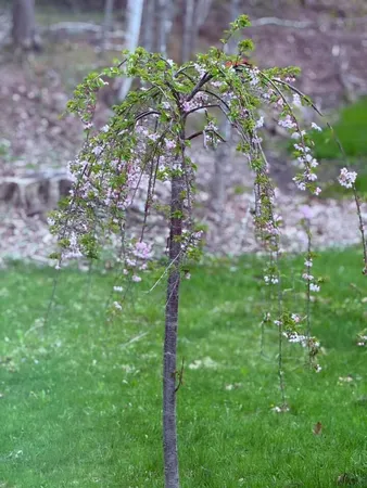 $419,000 | 224 Tolman Road, Warren, ME 04864