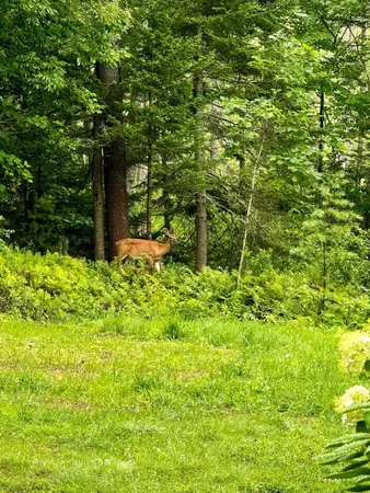 $419,000 | 224 Tolman Road, Warren, ME 04864