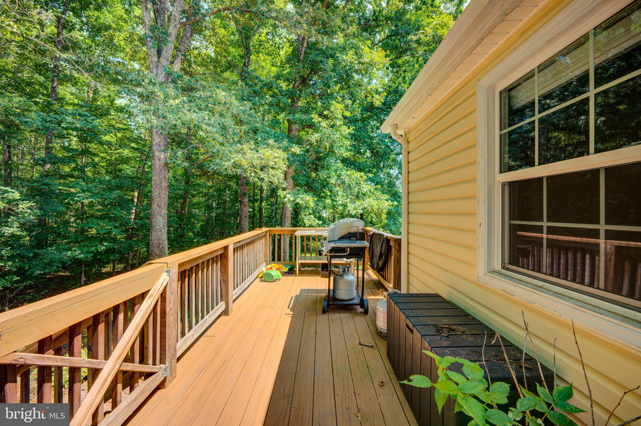 9595 Roys Lane Culpeper, VA 22701 - Photo 46 of 61 Serene deck nestled in lush greenery.