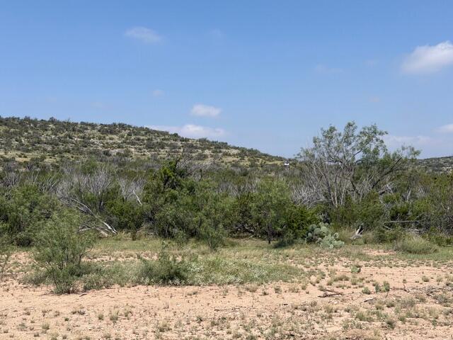 217 Eastwood Road Comstock, TX 78837 - Photo 2 of 6 IMG_0372