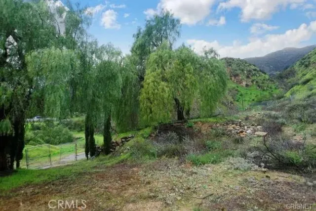 a view of a trees with a yard